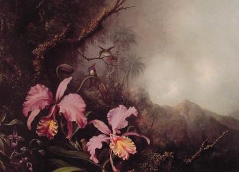 Martin Johnson Heade : Two Orchids in a mountain Landscape